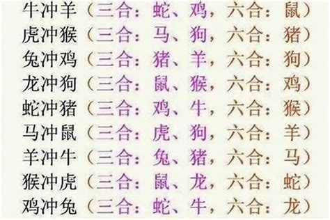 12生肖合|十二生肖相冲、三合、六合